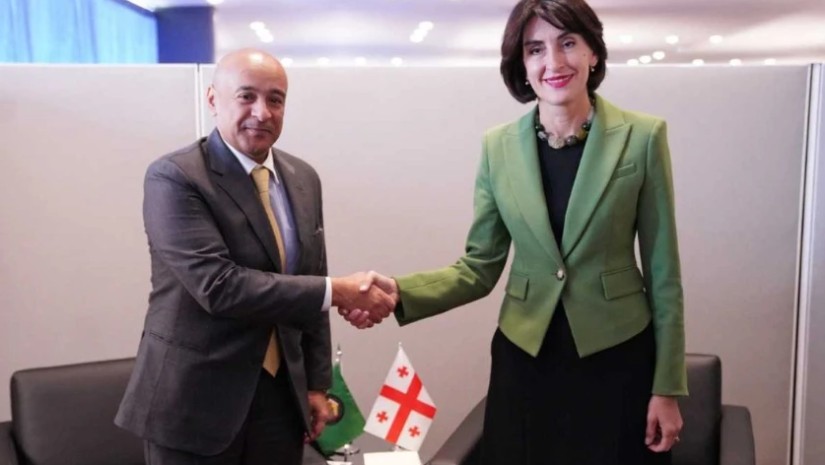 ბოჭორიშვილი