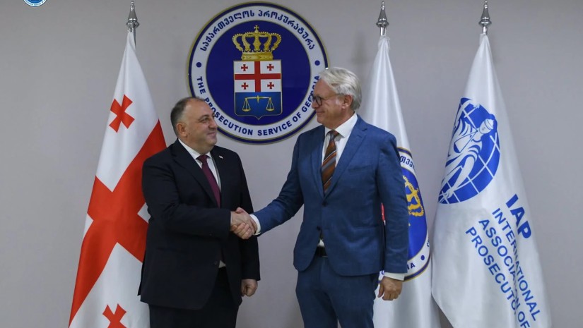 გიორგი გვარაკიძე პროკურორთა საერთაშორისო ასოციაციის (IAP) გენერალურ მდივანს როელ დონას შეხვდა