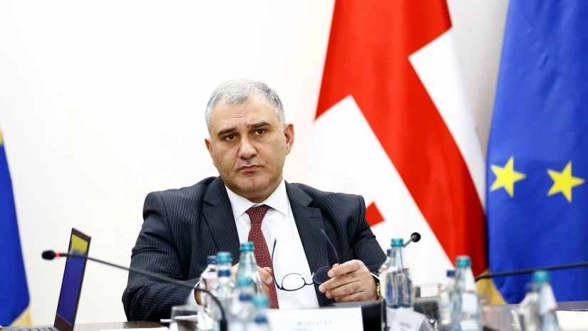 მიხეილ სარჯველაძე