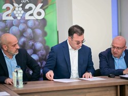 სონღულაშვილი სონღულაშვილი