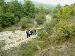 გიგლა თამაზაშვილი