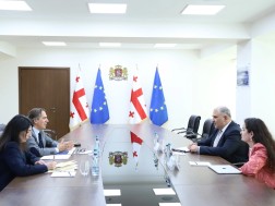 მიხეილ სარჯველაძე
