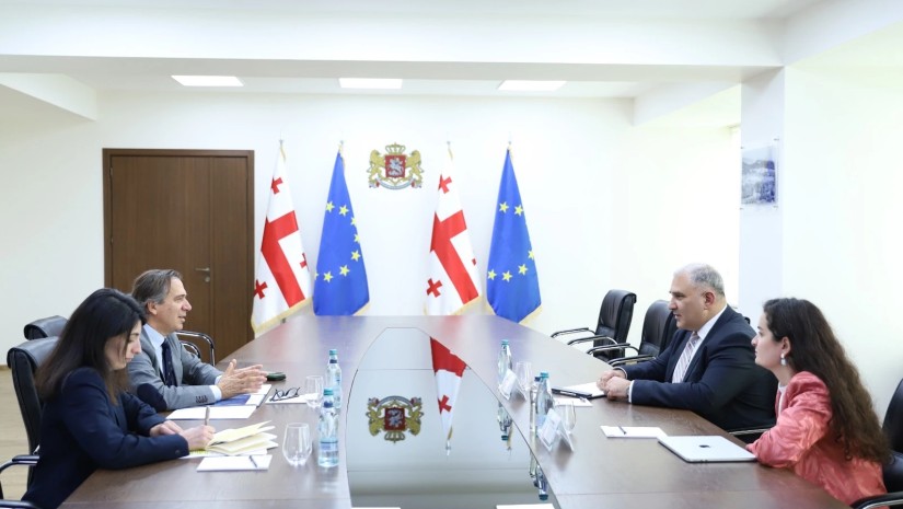 მიხეილ სარჯველაძე