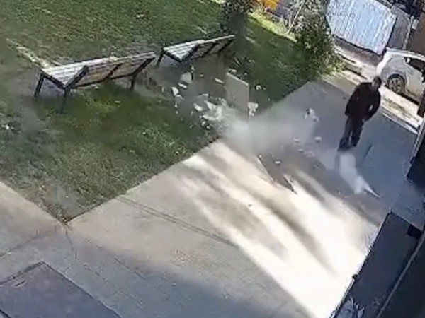 ფილების ცვენა