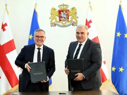 სარჯველაძე