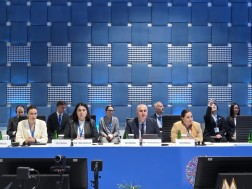 ეკატერინე მიქაბაძე