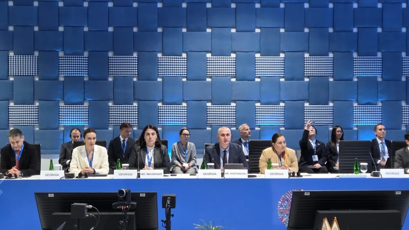 ეკატერინე მიქაბაძე