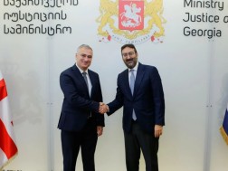 პაატა სალიამ ევროპის საბჭოს დელეგაციას უმასპინძლა