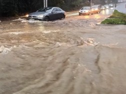 სტიქიას სტამბოლში მსხვერპლი მოჰყვა