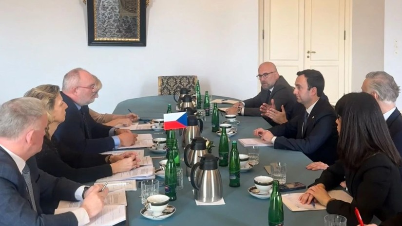 საქართველოს საპარლამენტო დელეგაცია