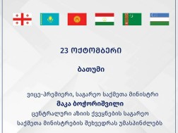 მაკა ბოჭორიშვილი