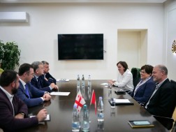 დავით სონღულაშვილი