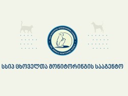 მონიტორინგის სამსახური მონიტორინგის სამსახური